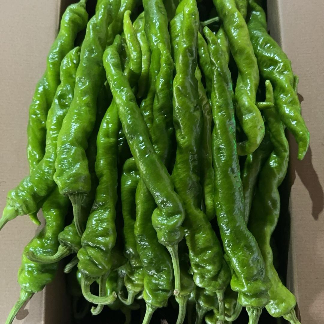 再见从今天开始