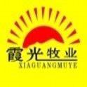 霞光牧业