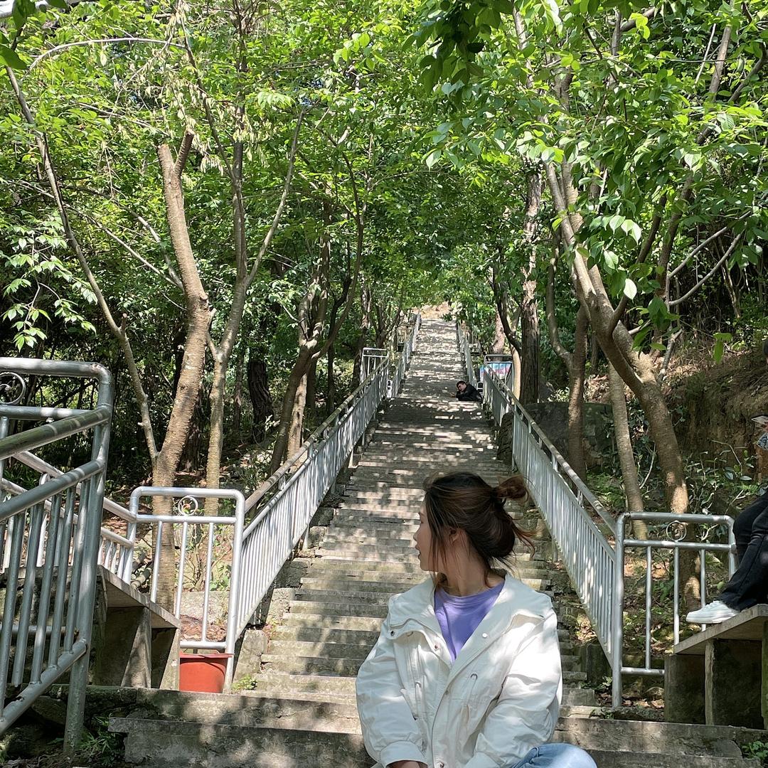 Jing 宝