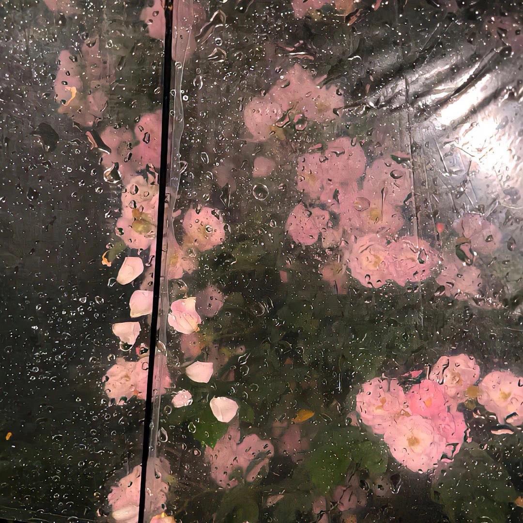 玖儿❤️