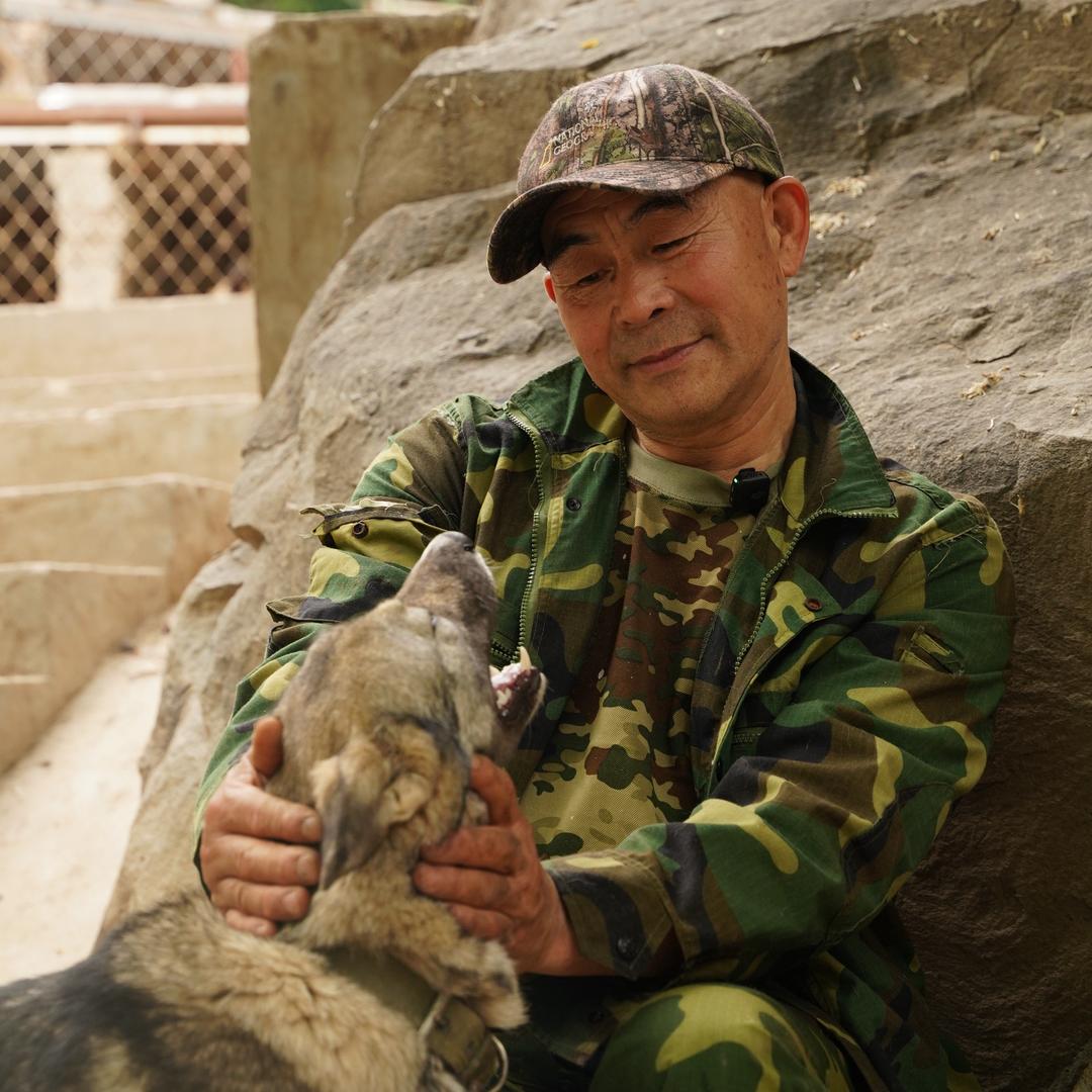 司野人狗场生活