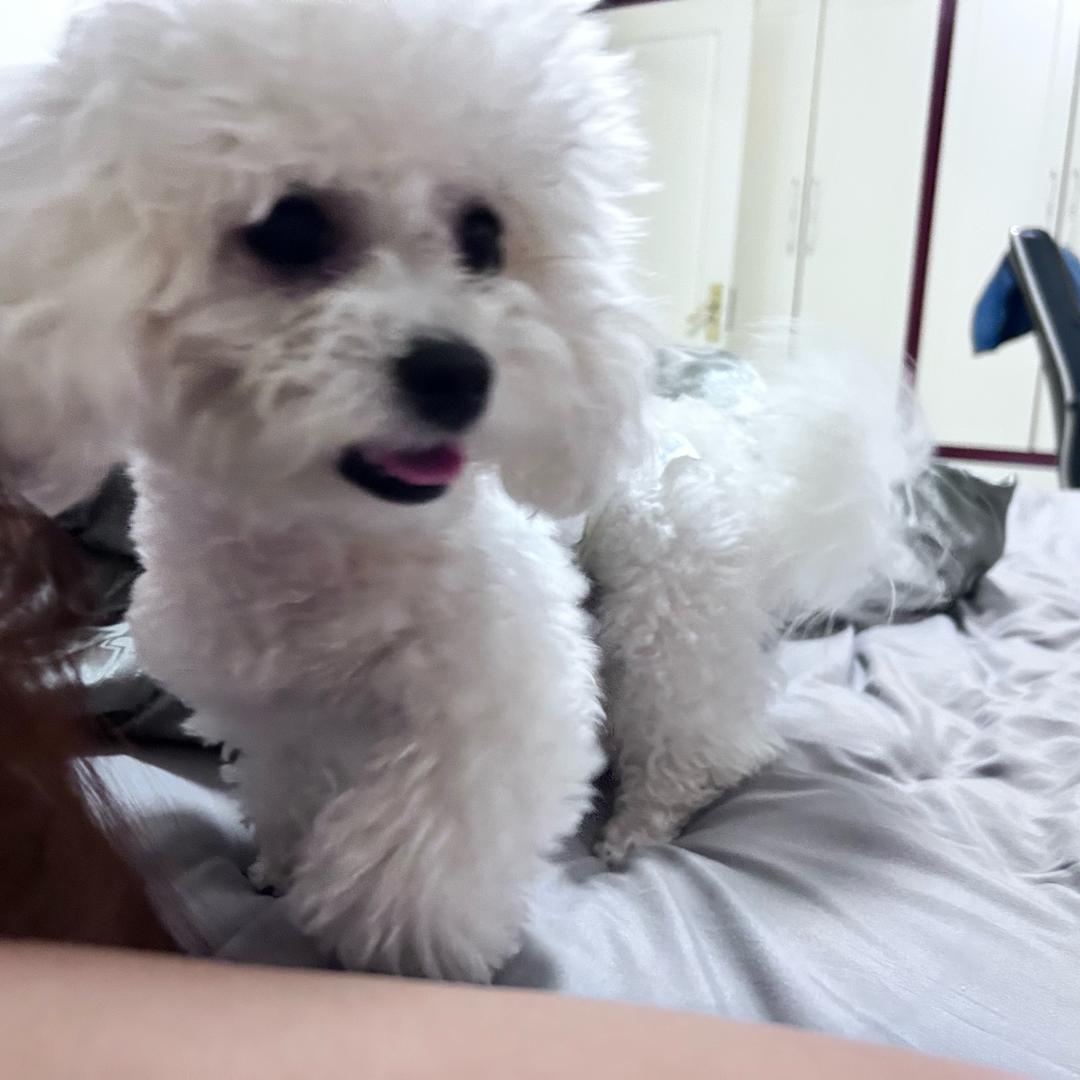 不敢发反反复复