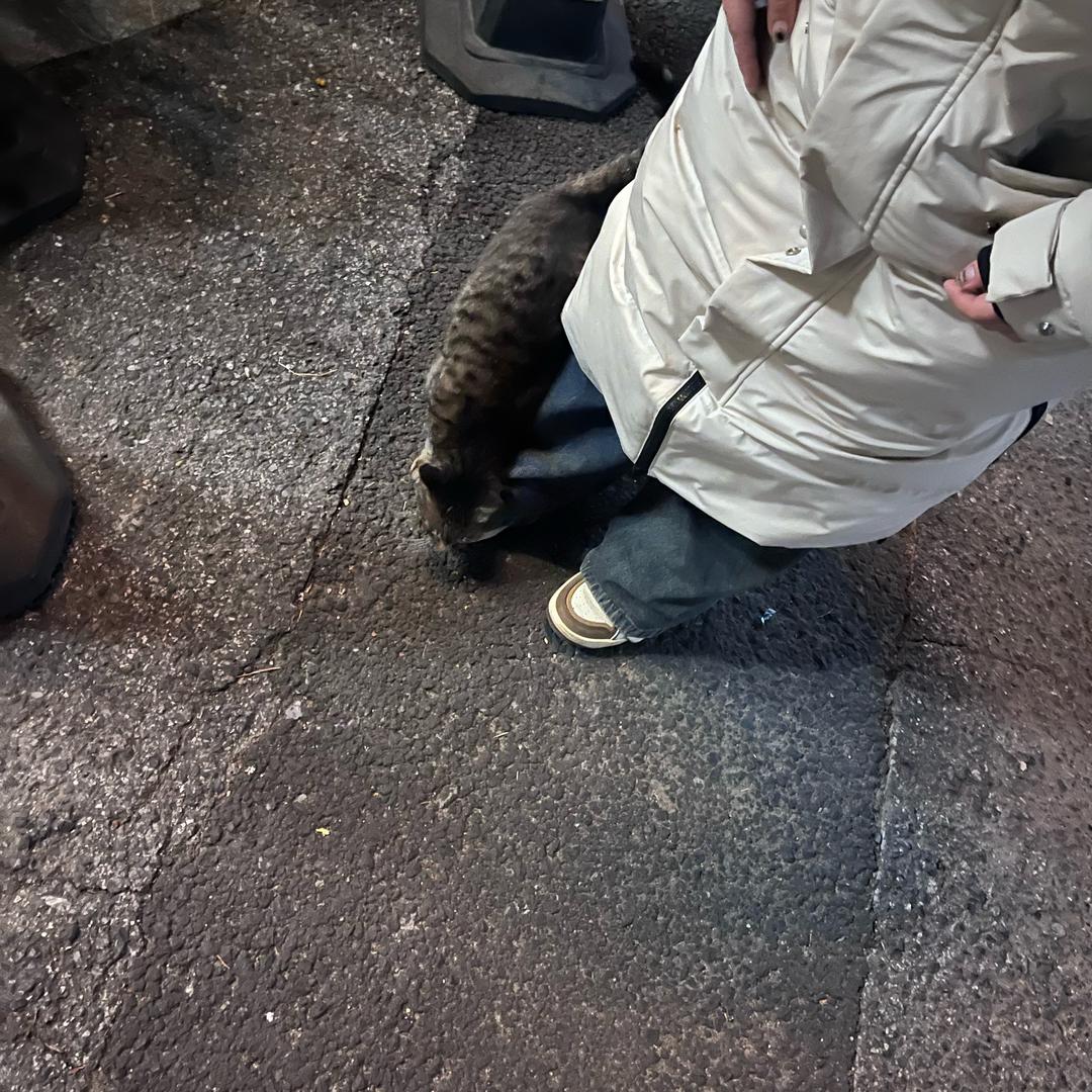 她想要的是咸菜