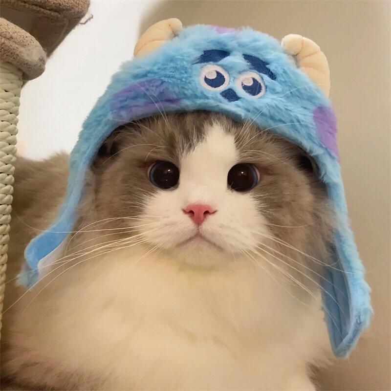 小志翡翠
