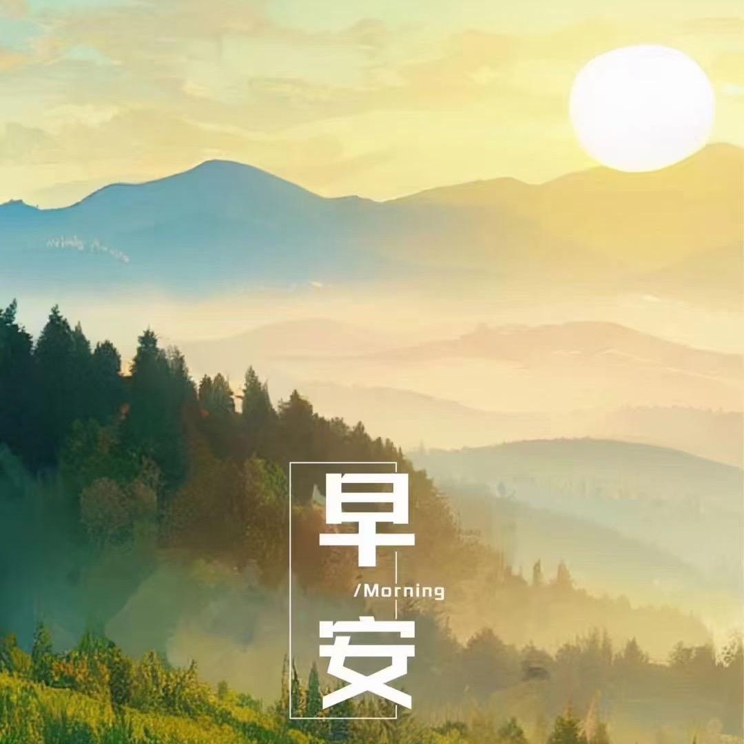鑫鑫🌟