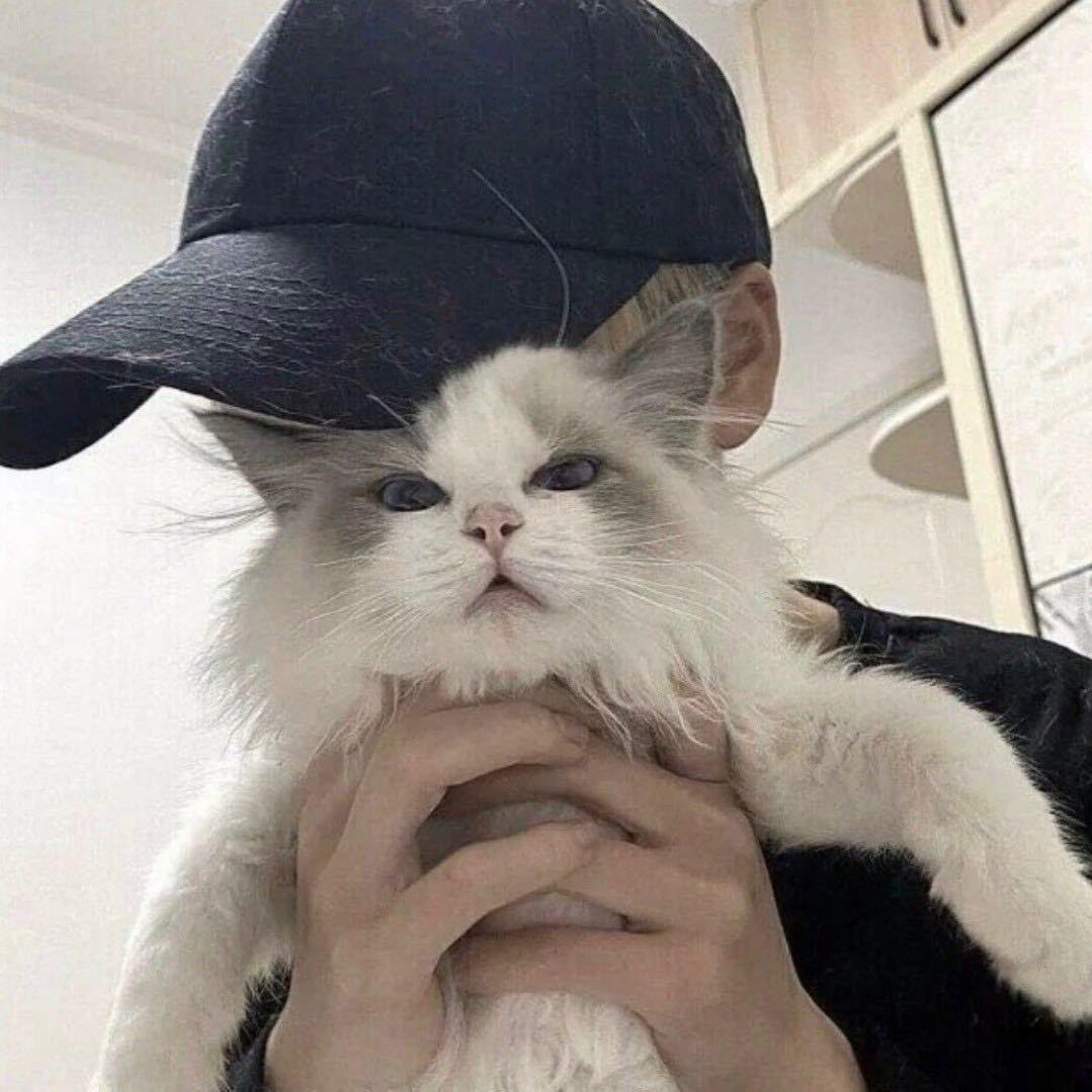 @辉.