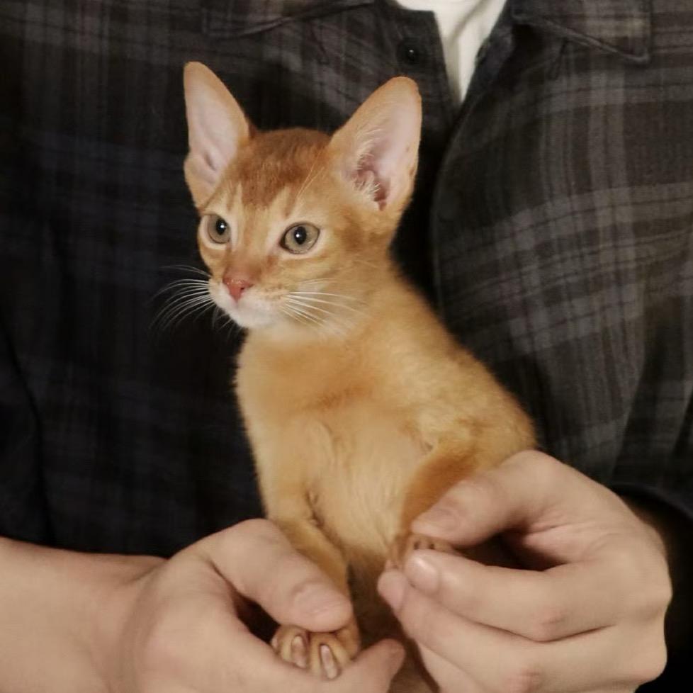 屁大点事分享家