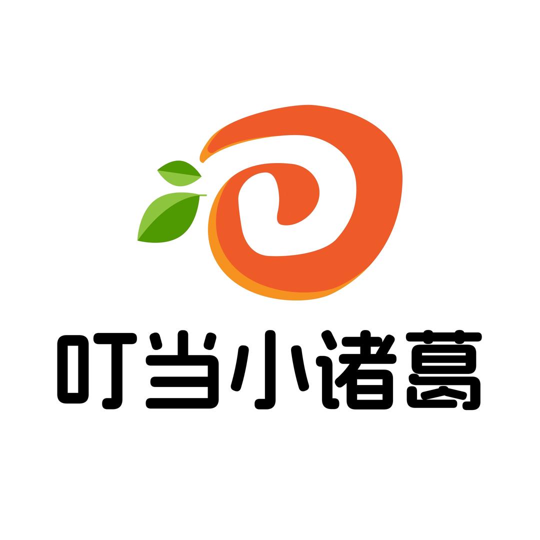 叮当小诸葛母婴玩具旗舰店