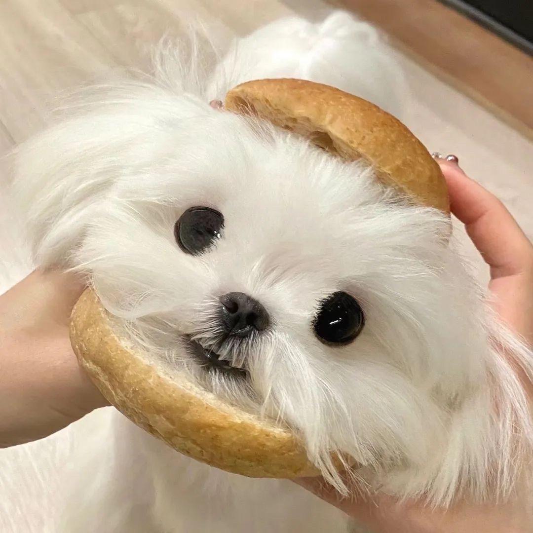 思思小甜心