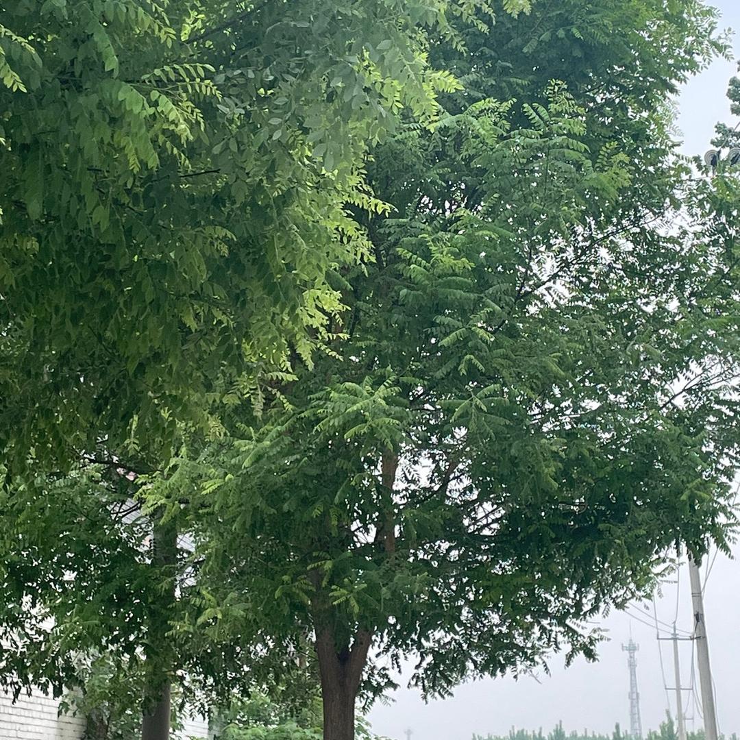 名扬天下