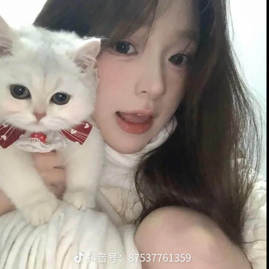 小懒猫👒