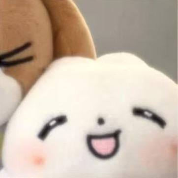 已读已关不回的一只卡皮巴拉