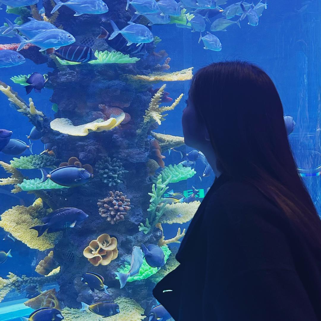 小刘去摘星星啦.