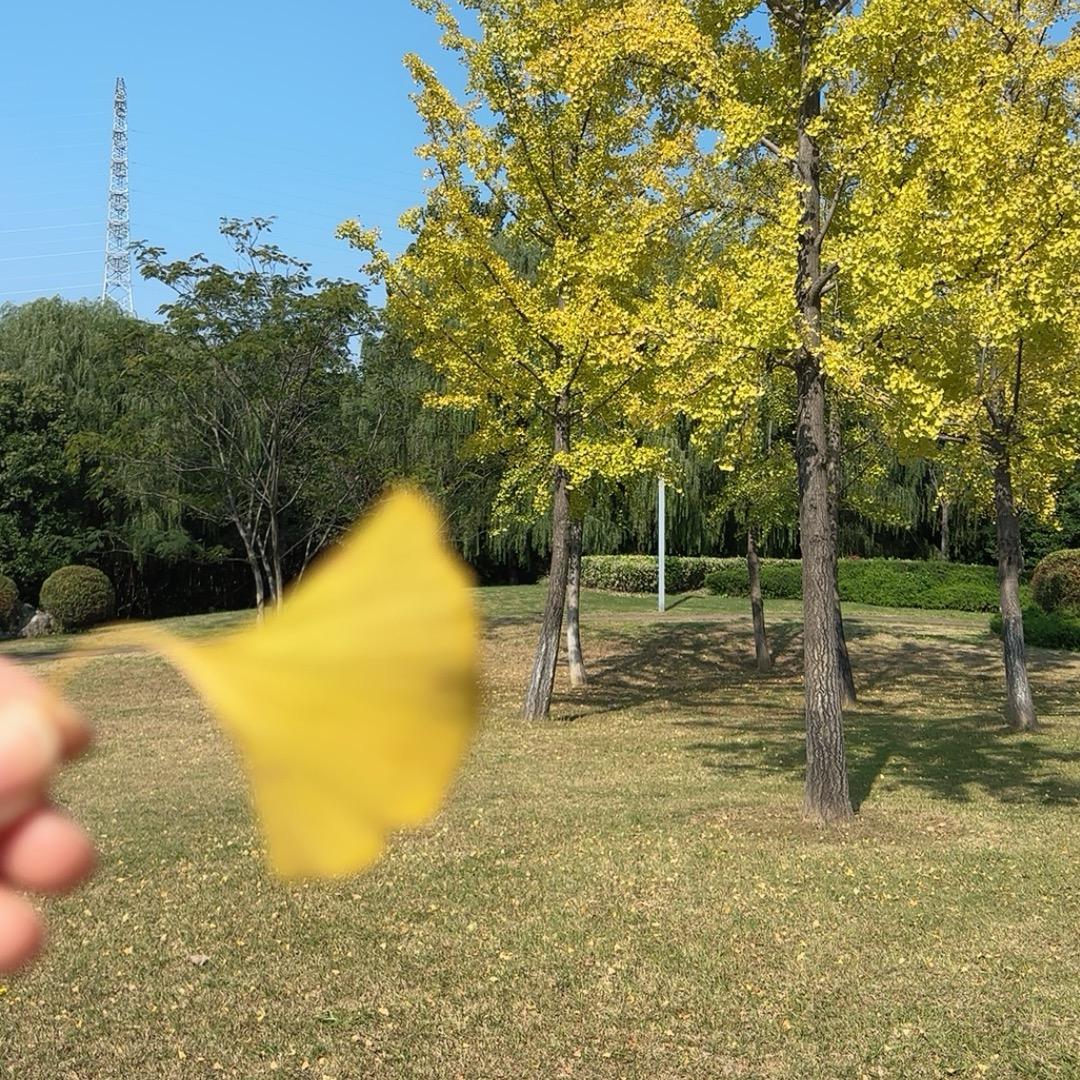 小小静静