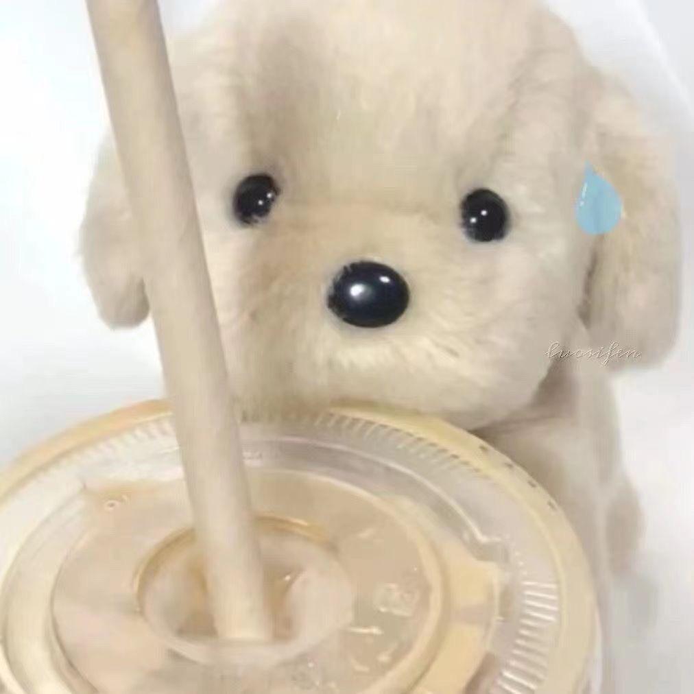小涂不秃