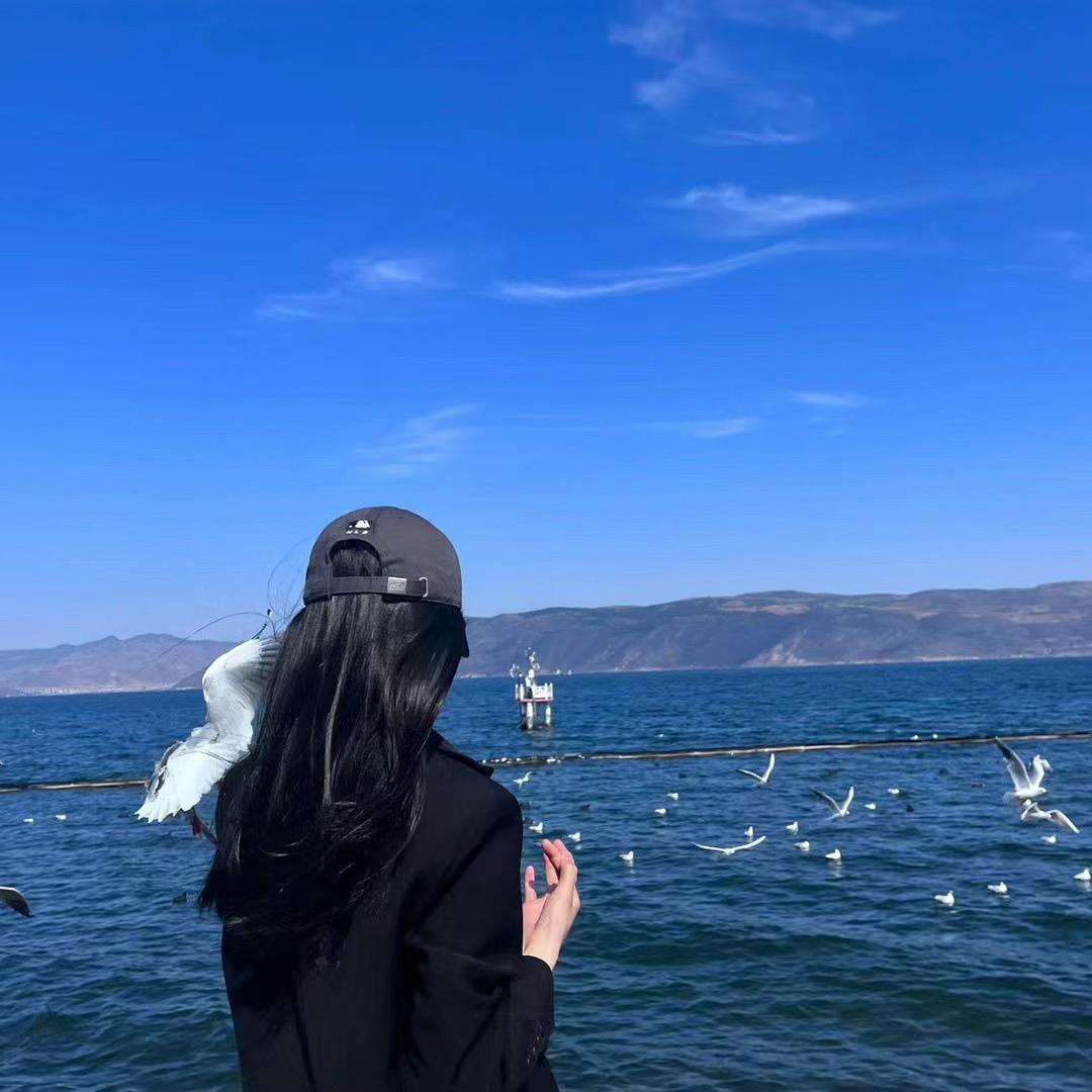 Wi王李子