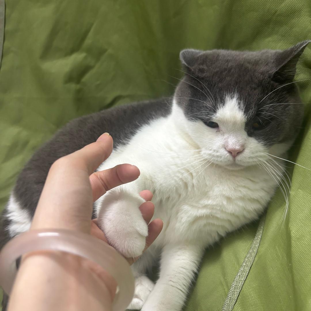 不发脾气只发财🧚