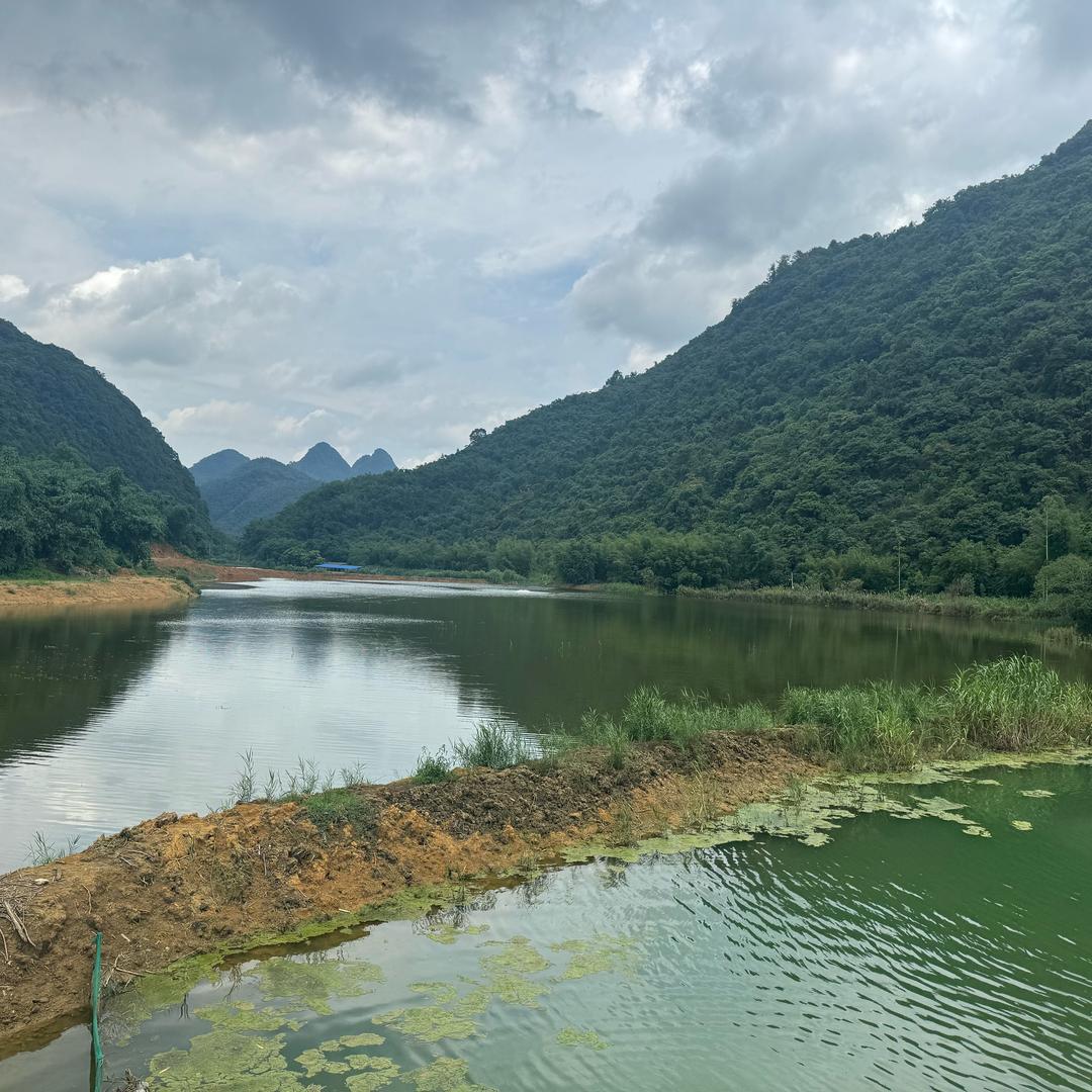 英德惠诚汽车运输有限公司