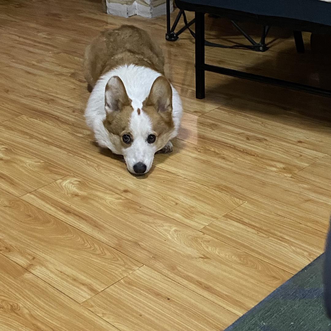 今天还是得出门