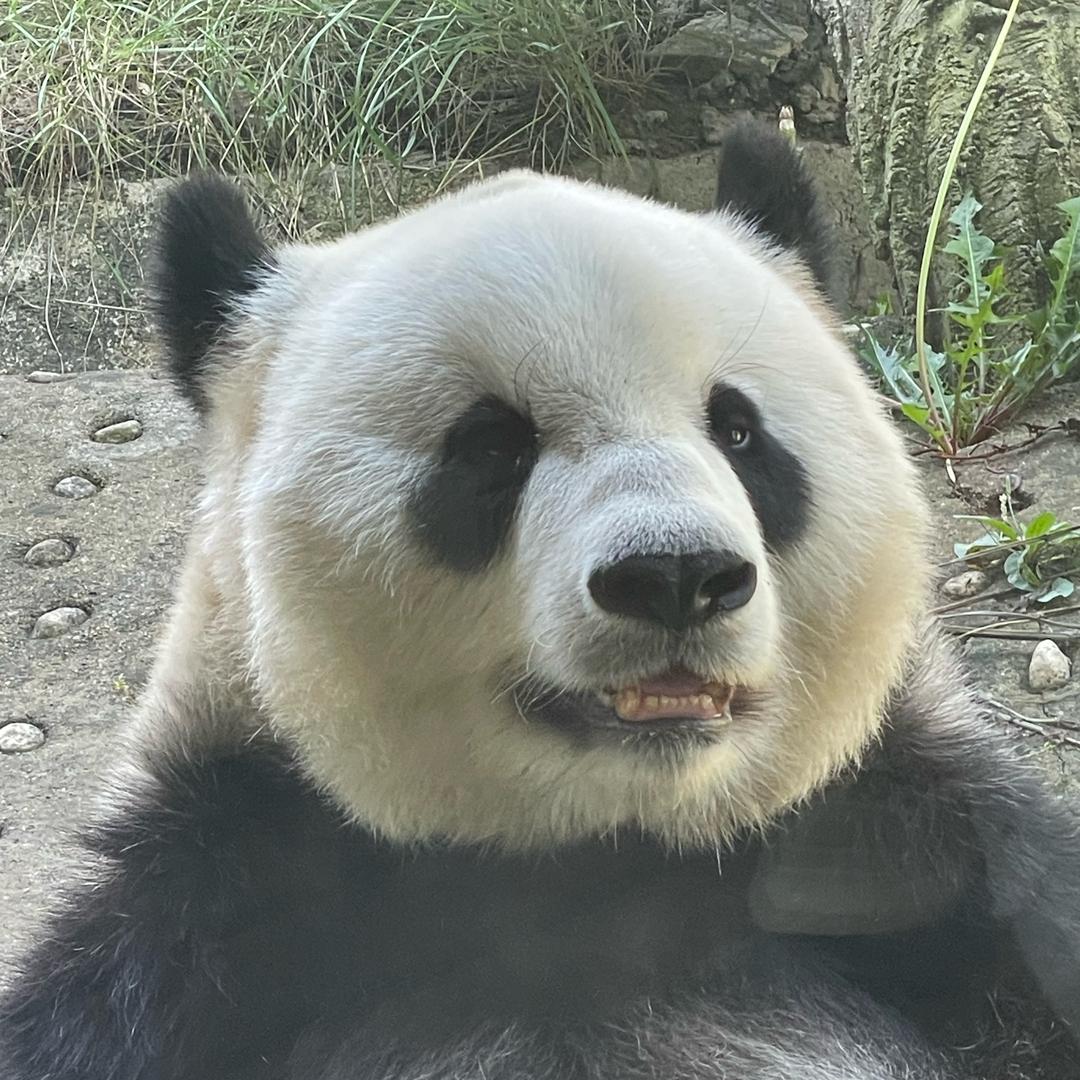 云淡风轻✐