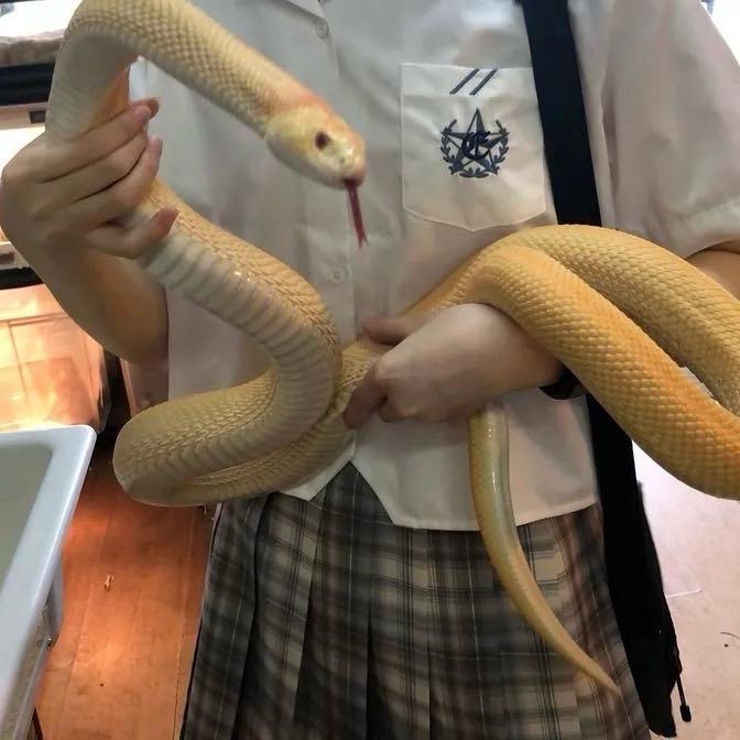 花生妹妹