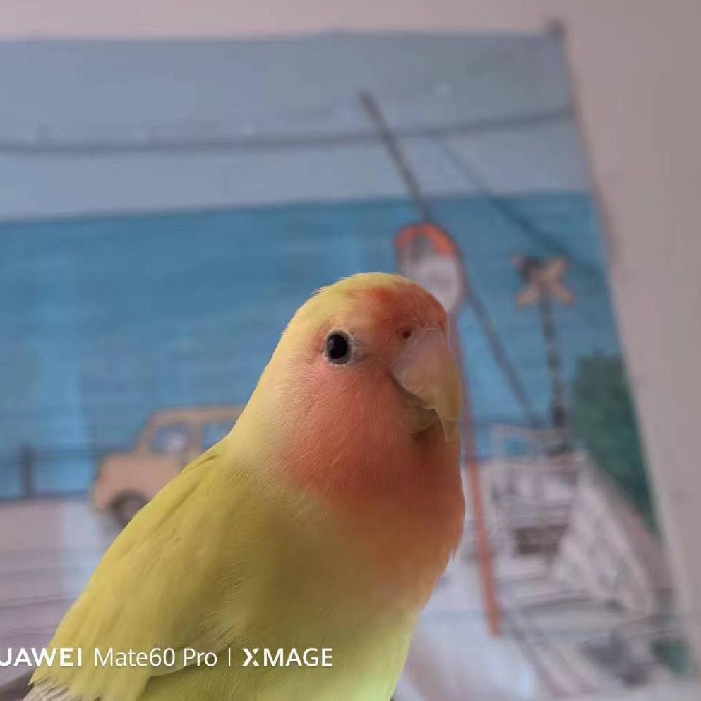 暴走九男🐤