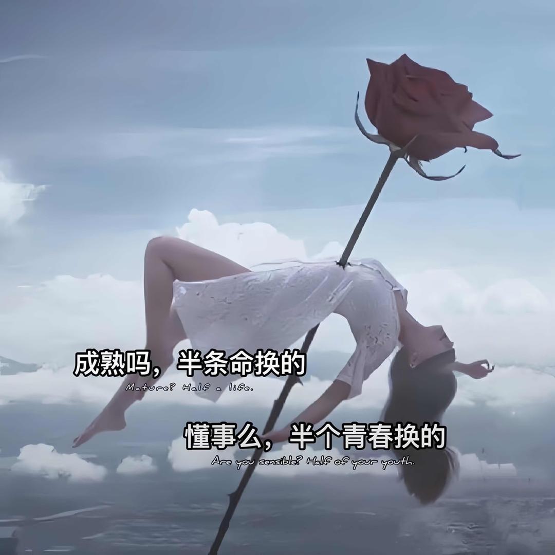 Ai 宝宝