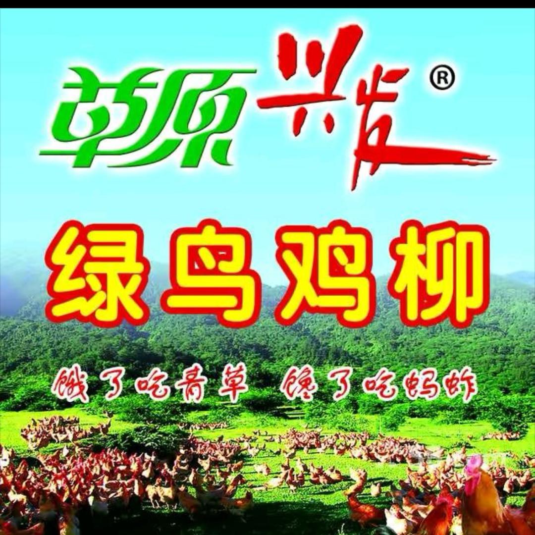 绿鸟鸡柳（聊大店）