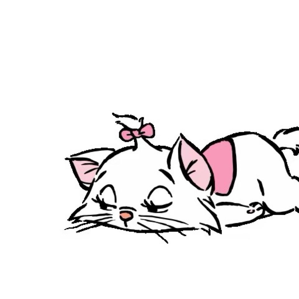 阿猫阿狗