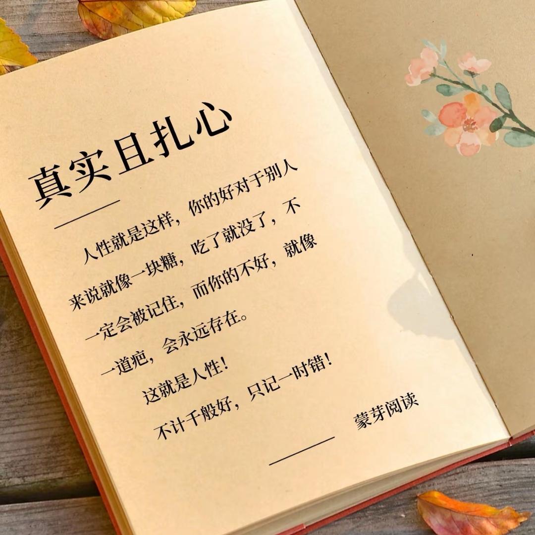 小刺挠🪨