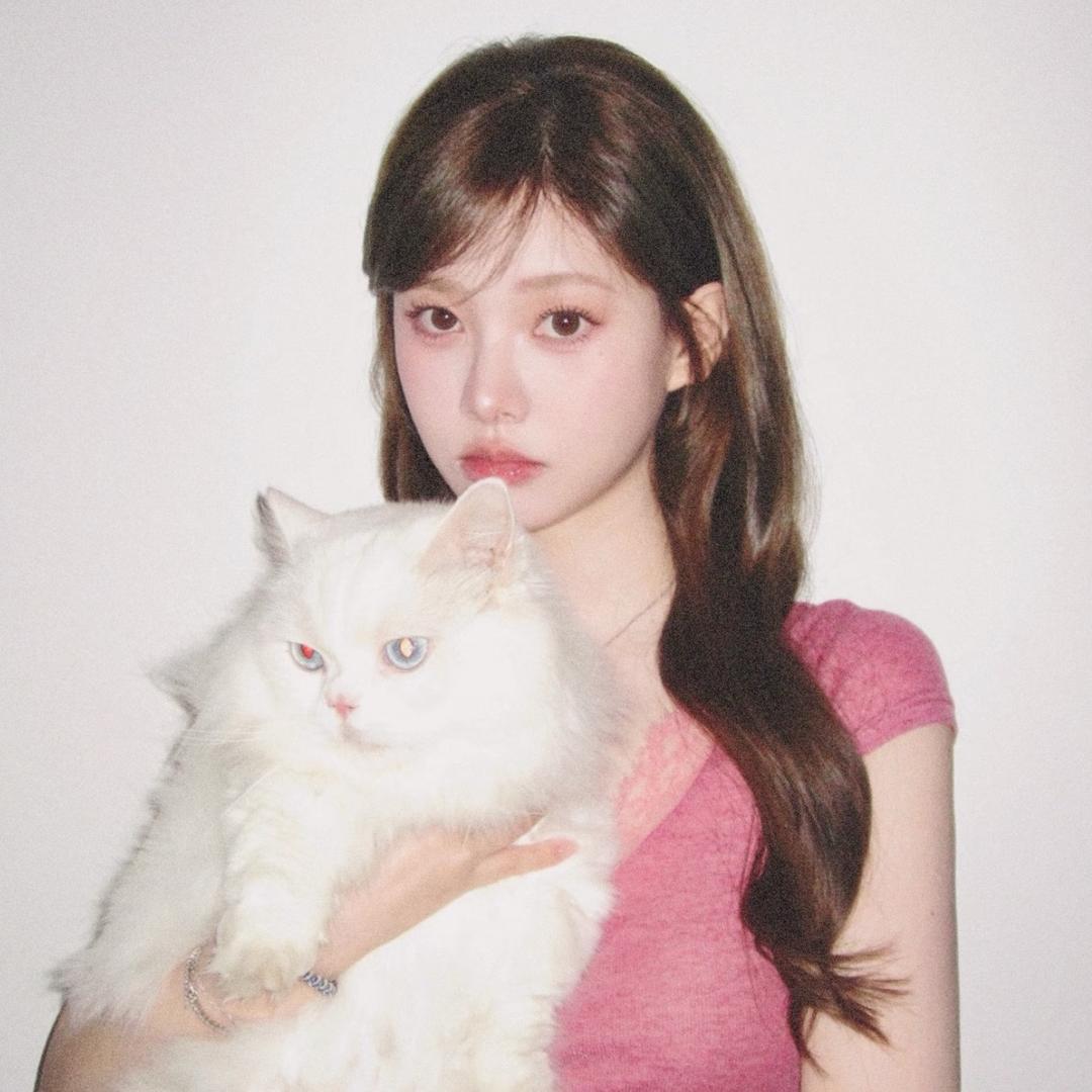 好柿朵朵 .☁️