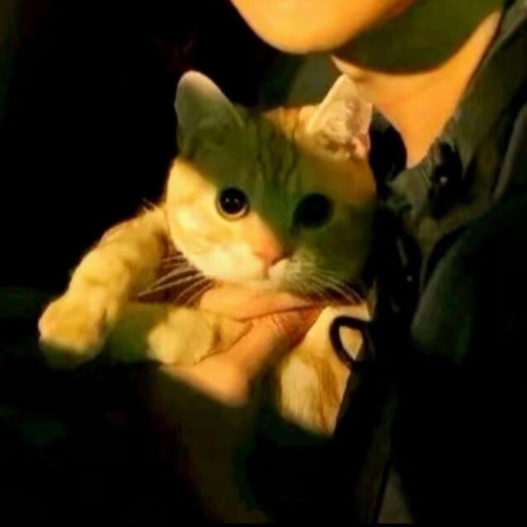 我继续