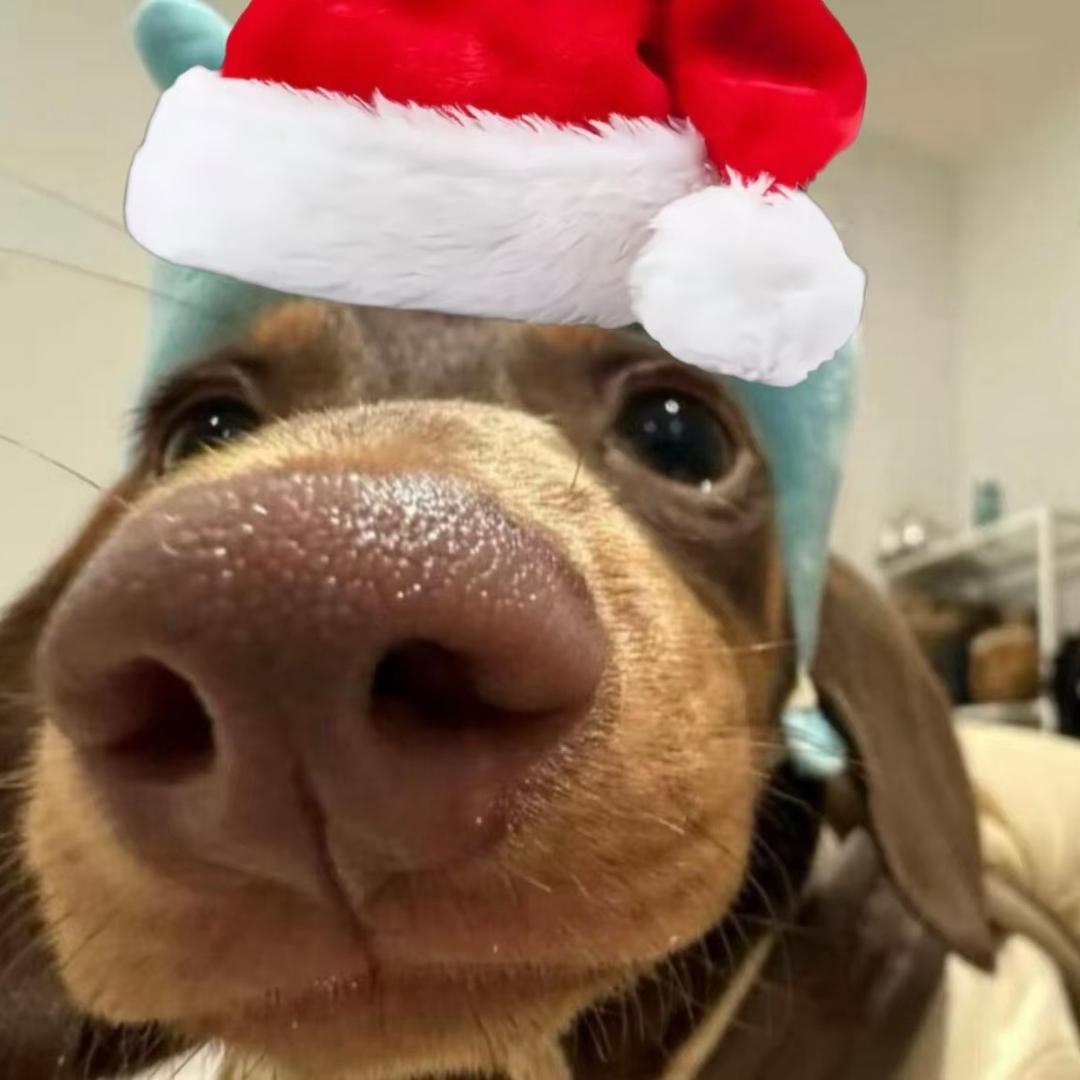 AAA卤味批发李总（有事私信）