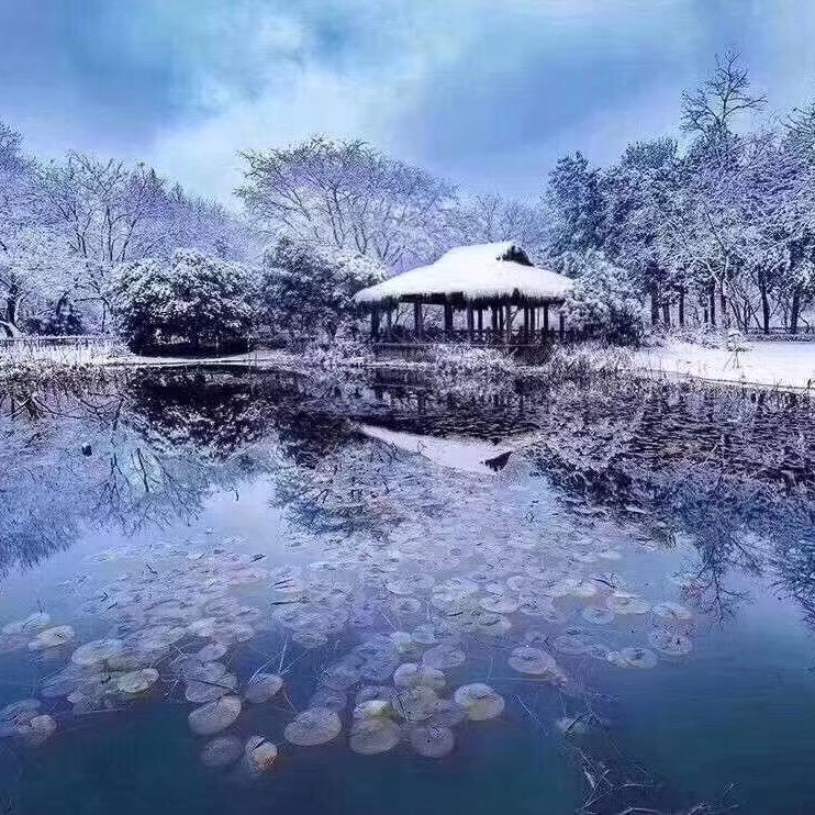 方圆几里⁵³¹¹