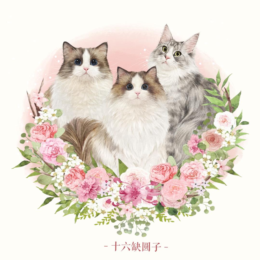 十六缺圆子