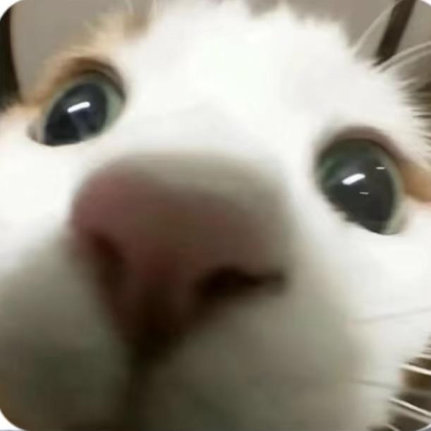 美味貓堡