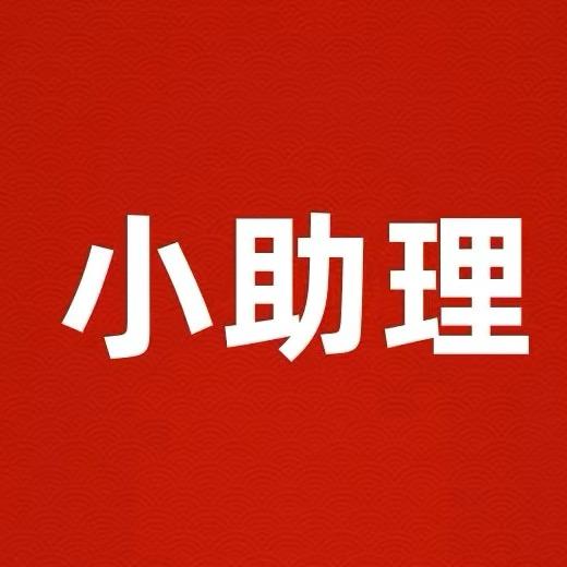 小助理/01