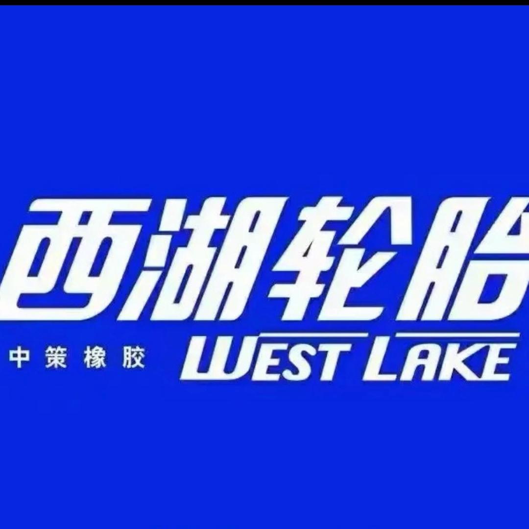 轮胎🛞搬运工