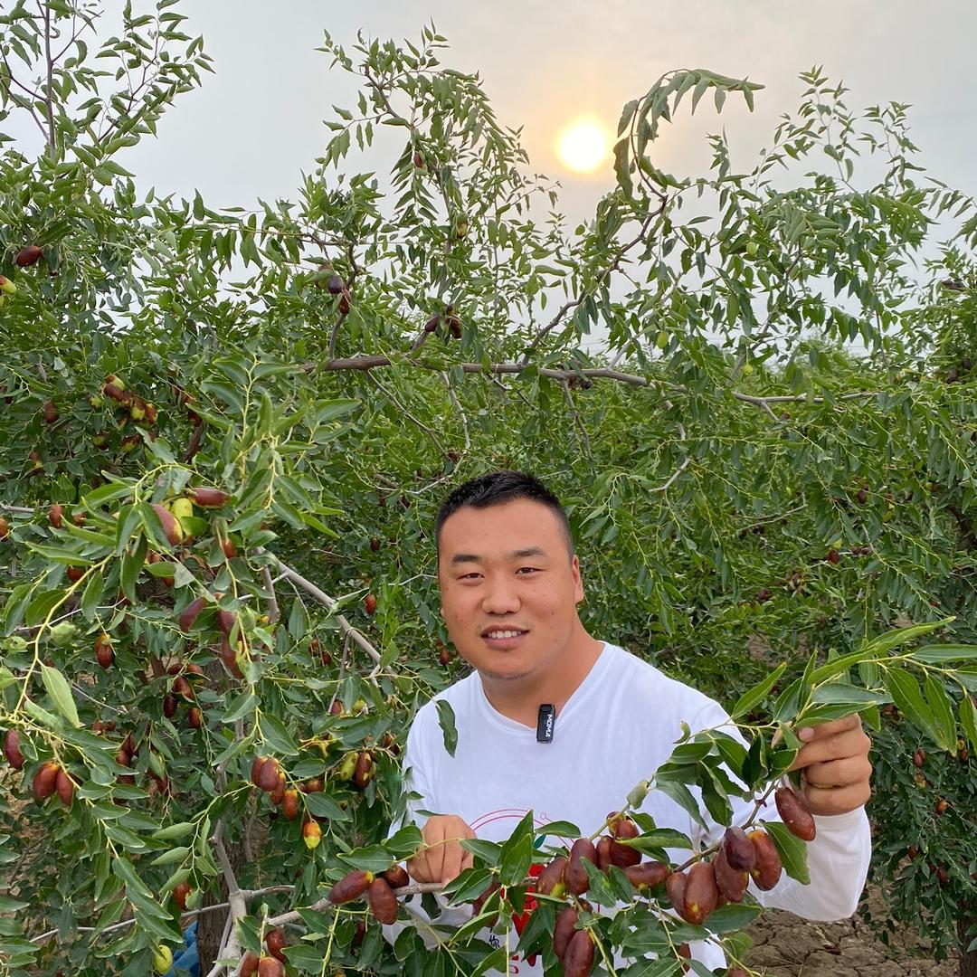 萤火虫佳宁