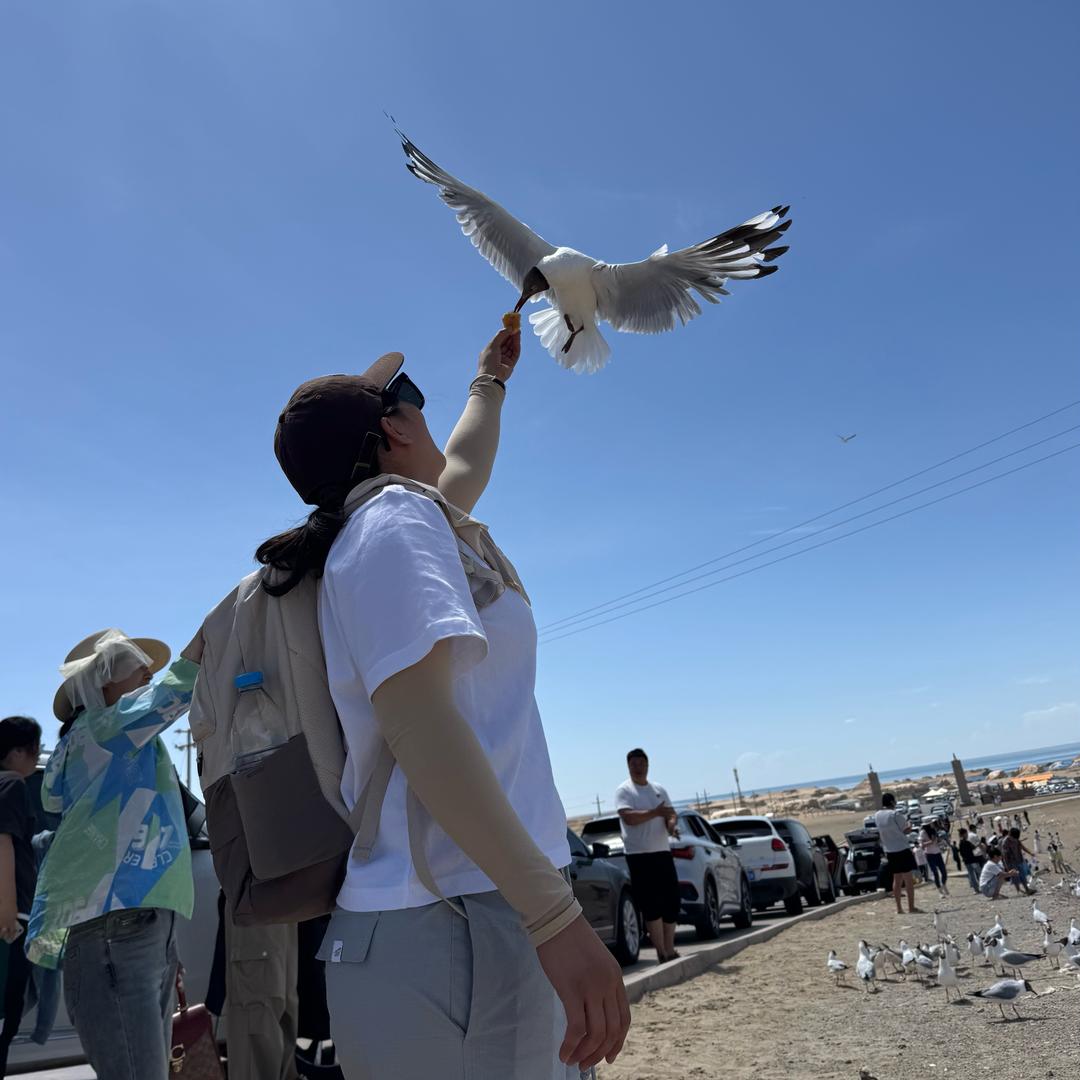 我的狗子叫老Ki