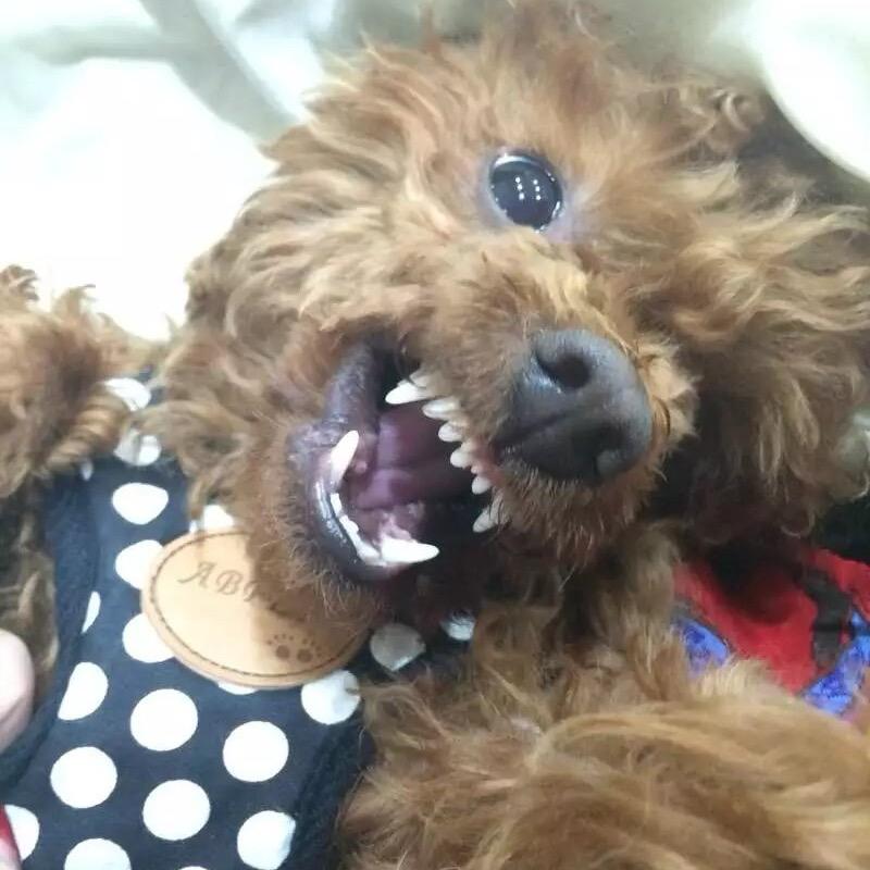 励志出完露娜的皮肤❤️