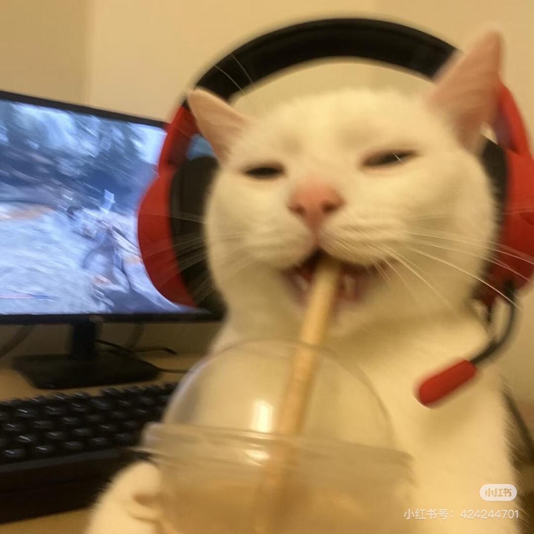 番薯叶耶