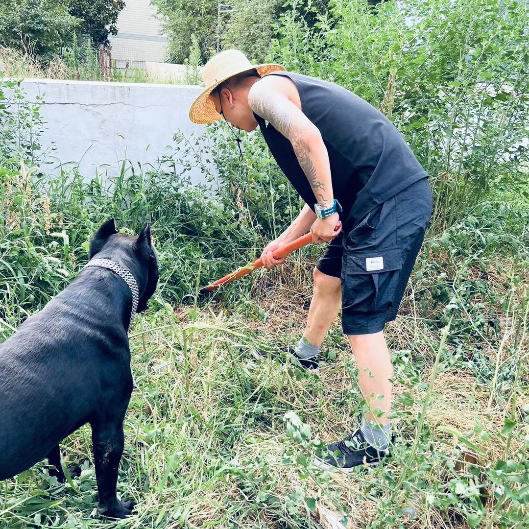 减龄烫发李师傅