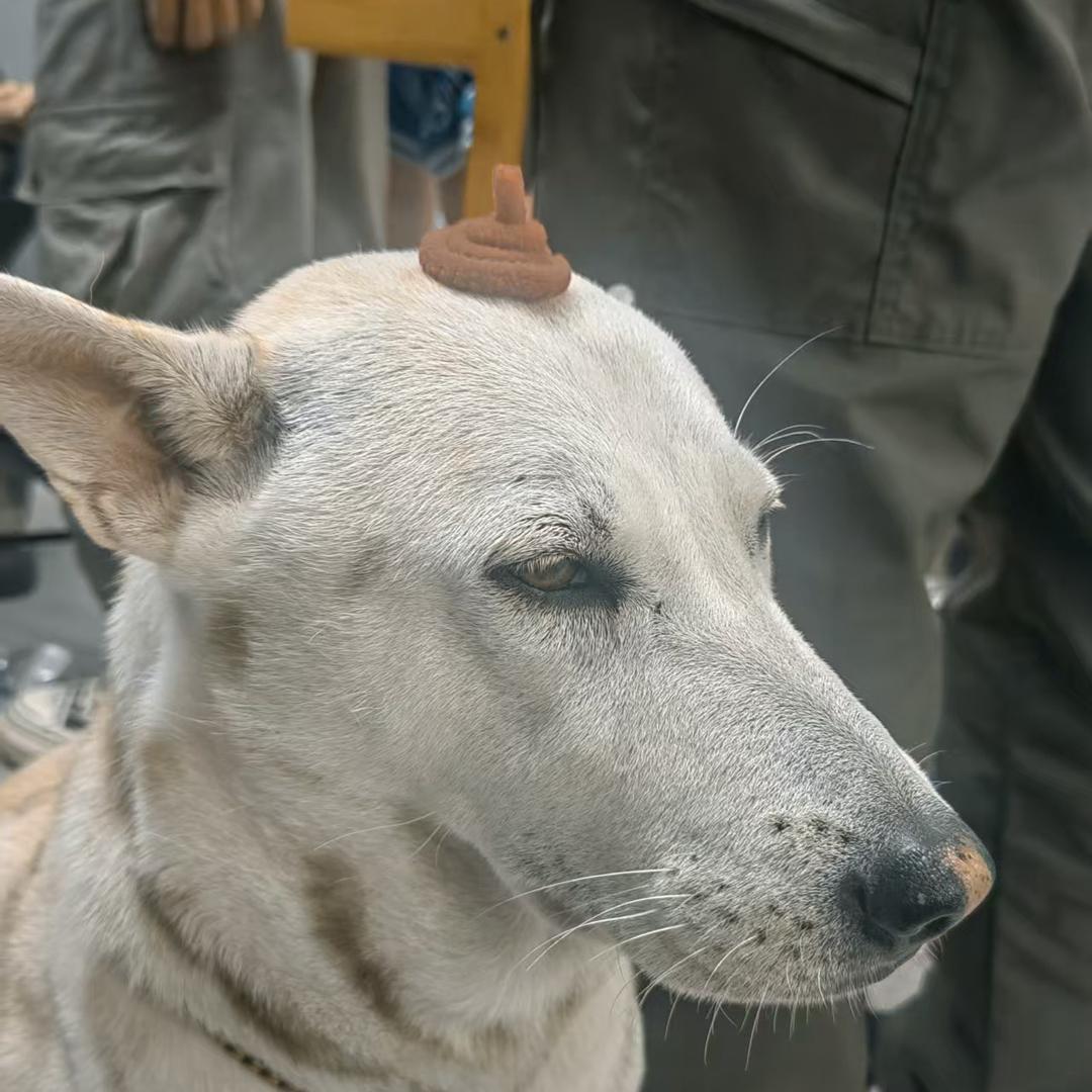 打不過就吐口水