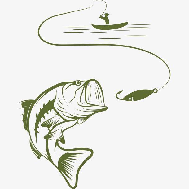鱼先生测饵