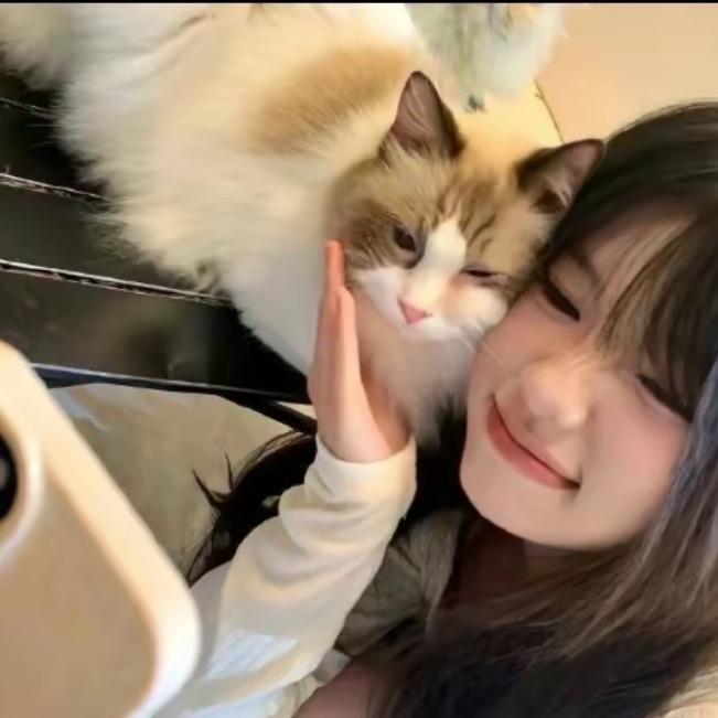 醉陶深情种