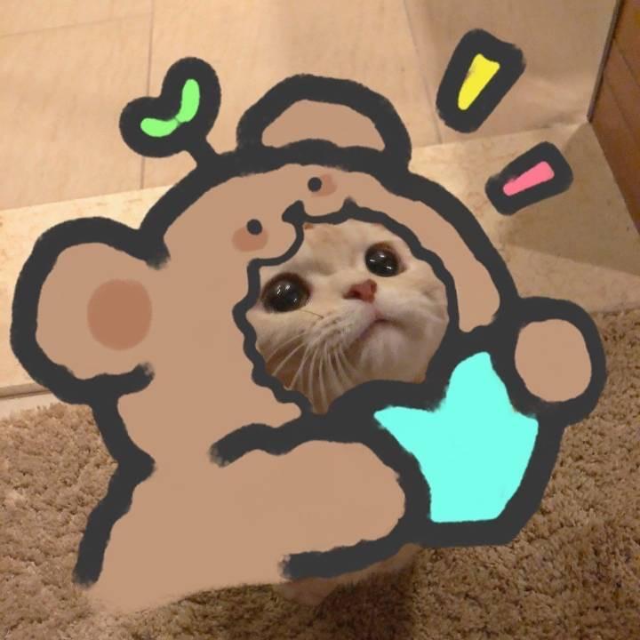 摘星星⭐