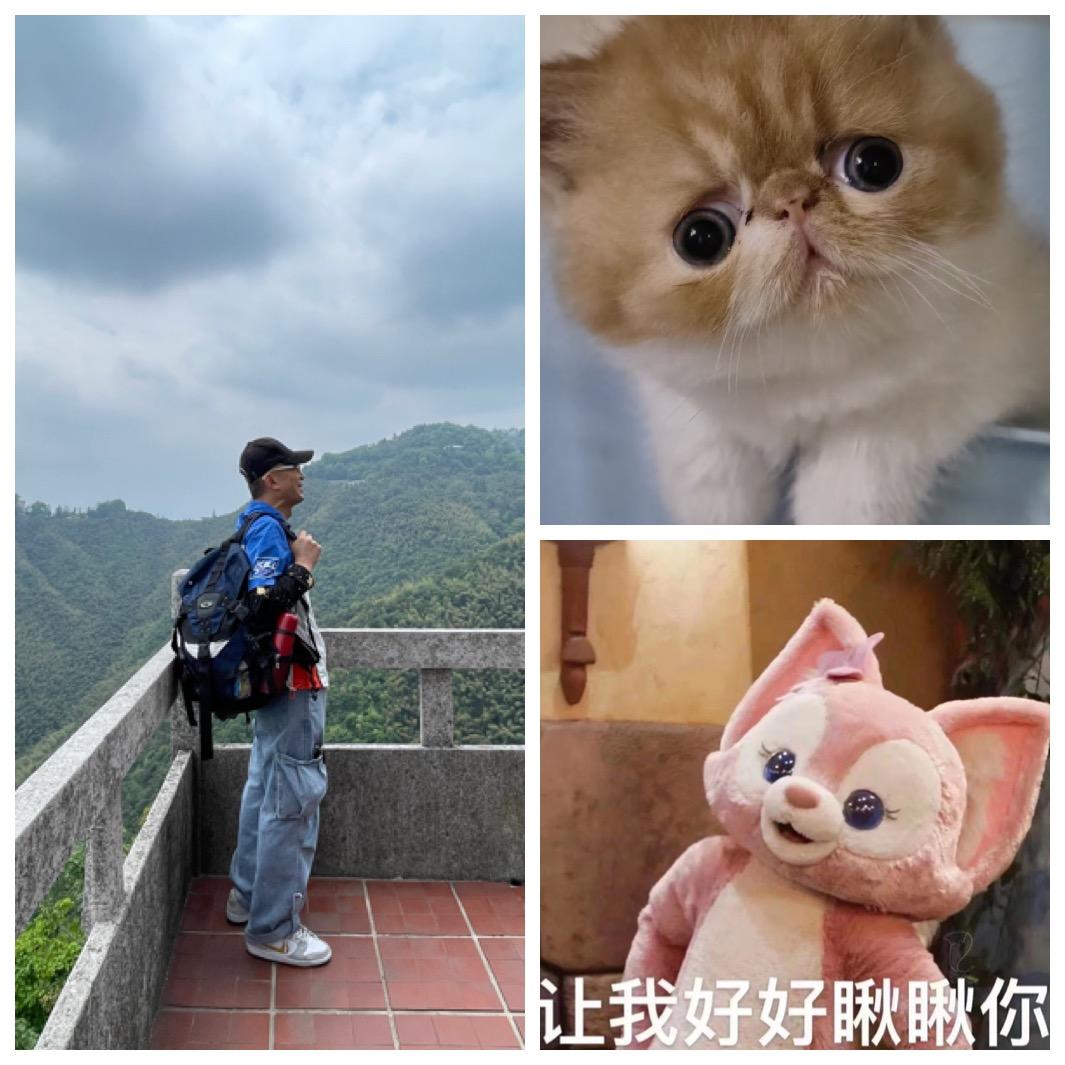 单ber