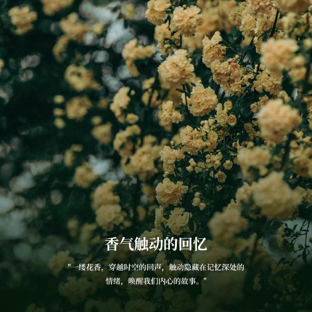 花语车载香氛