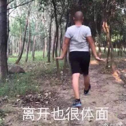 岩宝宝(发疯版)